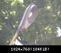 DSCN0981