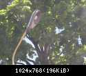 DSCN0980