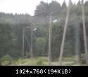 DSCN0623