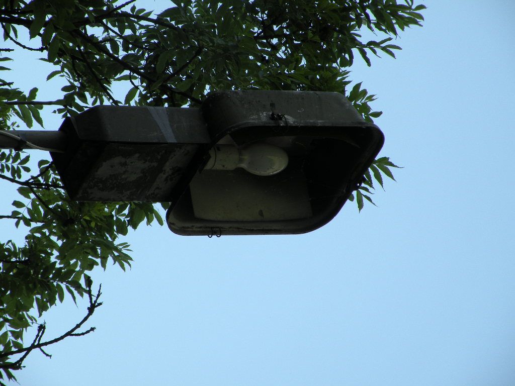 DSCN1337