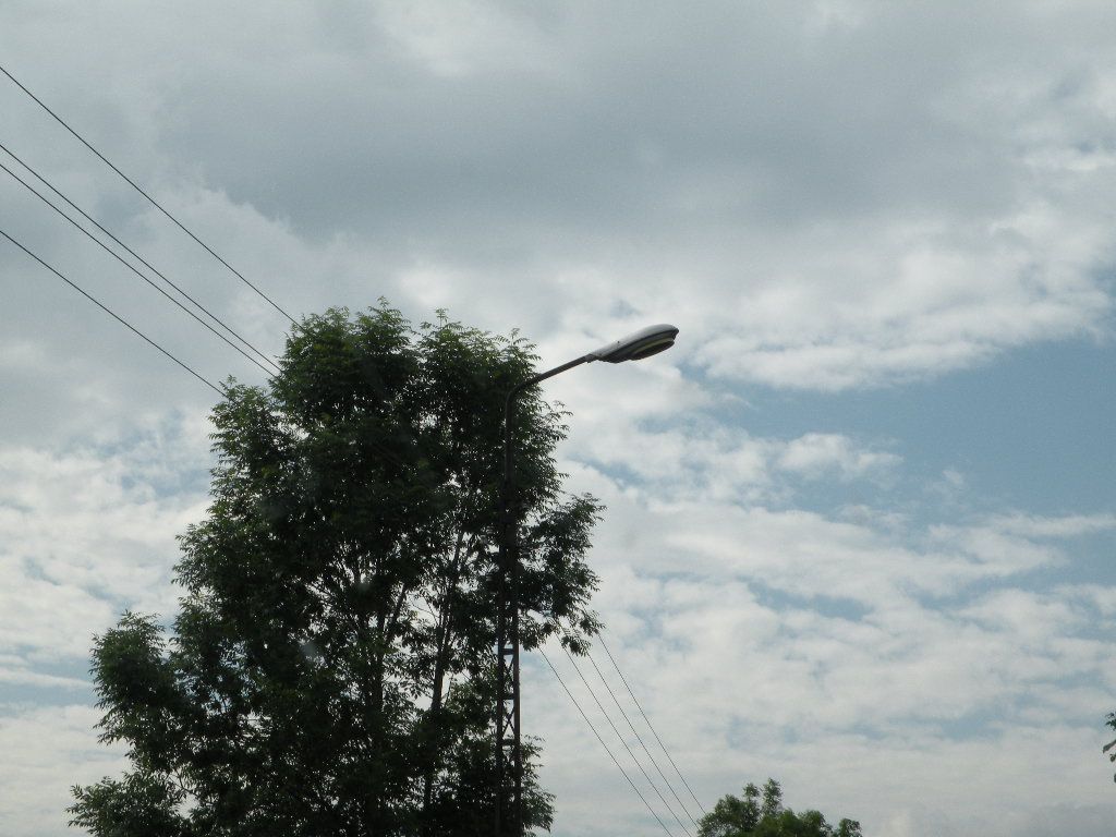 DSCN1386