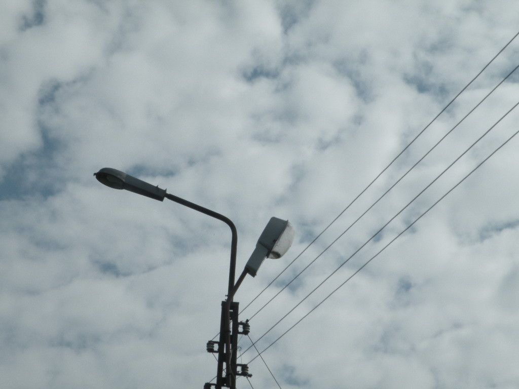 DSCN1364