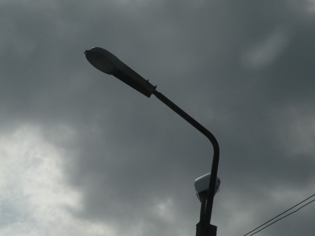 DSCN1365