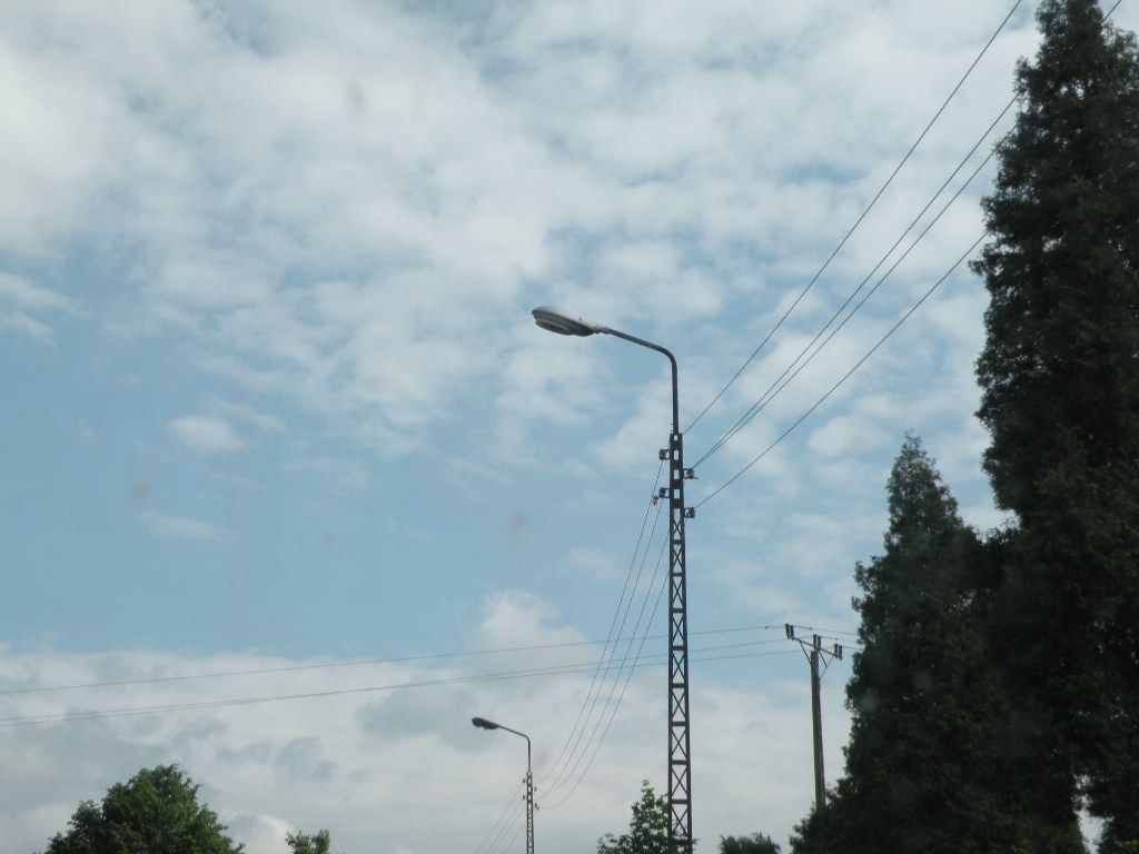 DSCN1366