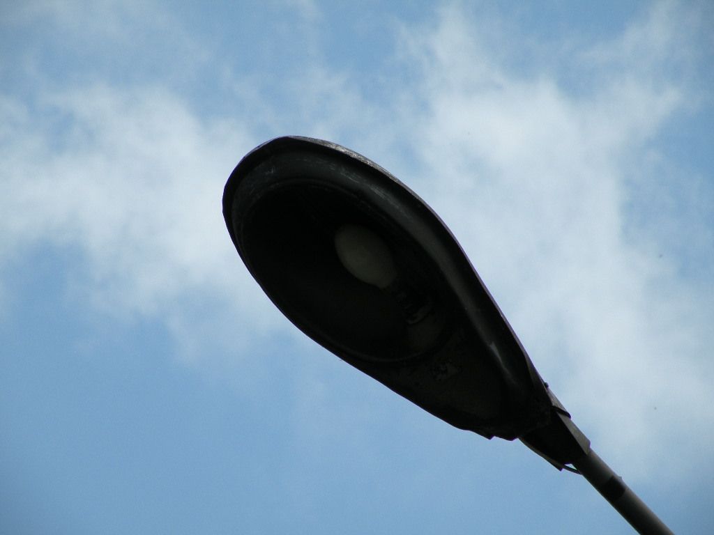 DSCN1351