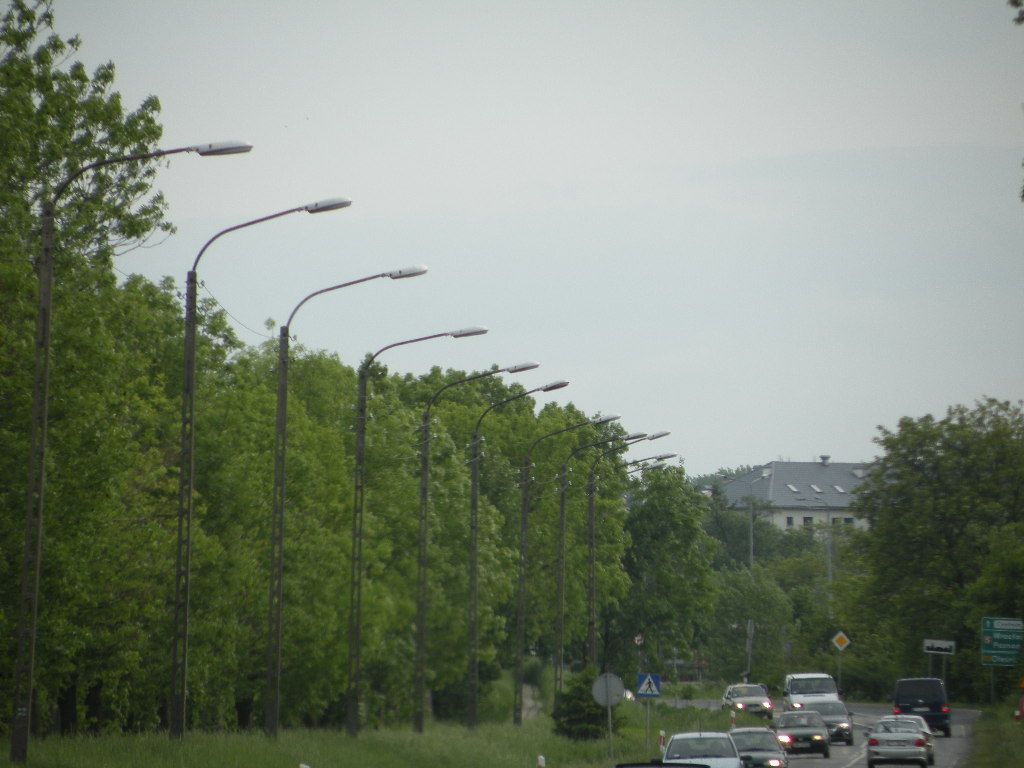 DSCN3202