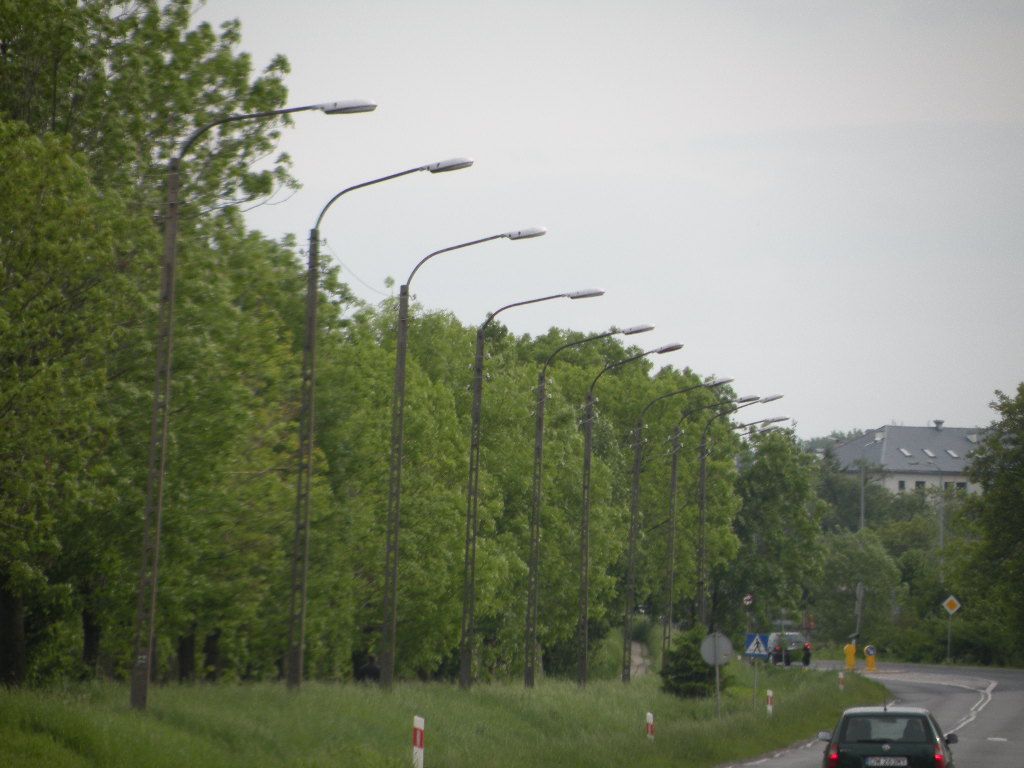 DSCN3204