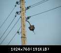 DSCN6028