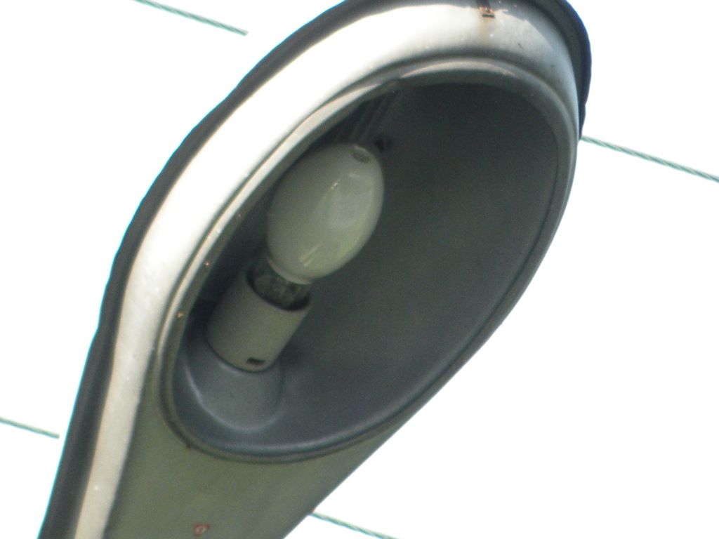 DSCN5965