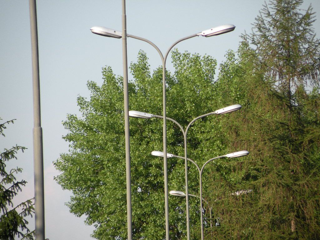 DSCN6062