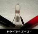 DSCN8375