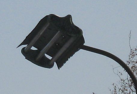IMG 0998