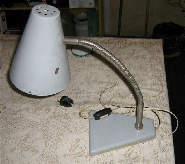 IMG 1746