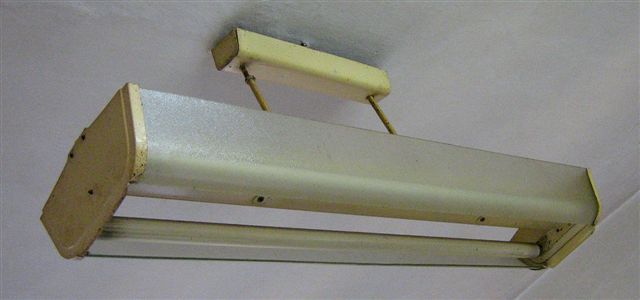 IMG 1749