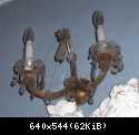IMG 1753