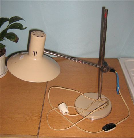 IMG 1773