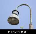 dscf2089u