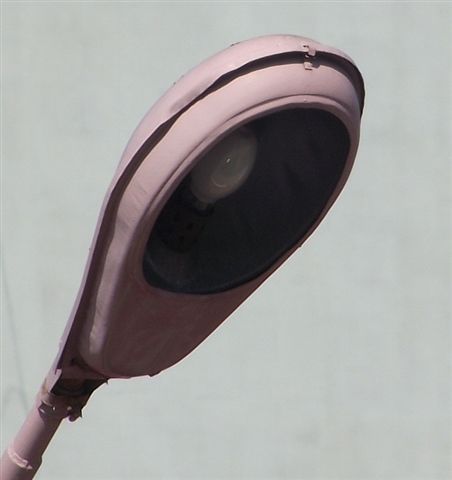 dscf1101q