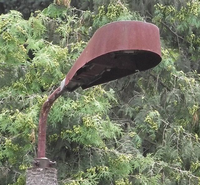 dscf2691v