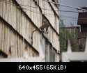dscf3382z
