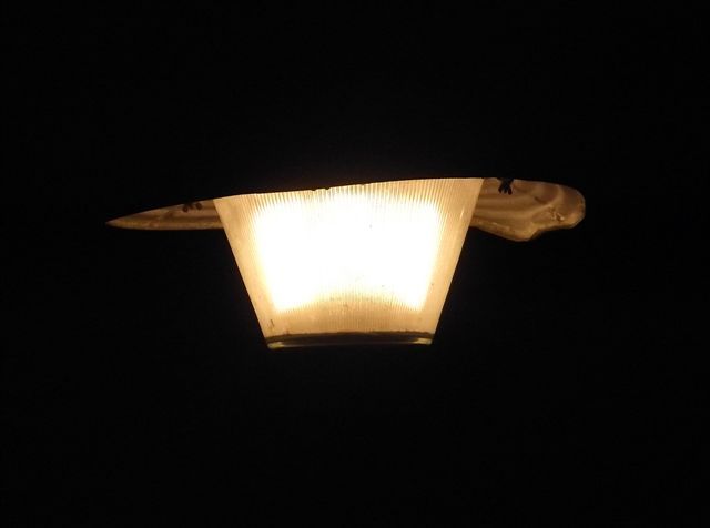 DSCF3481