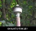DSCF4109