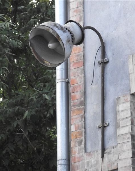DSCF3889