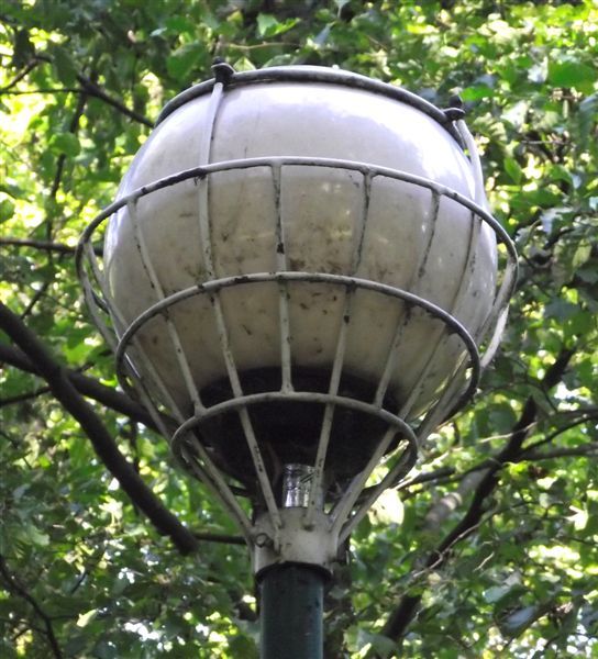 DSCF4340