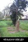 img8398c