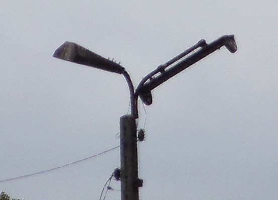 DSCF4833