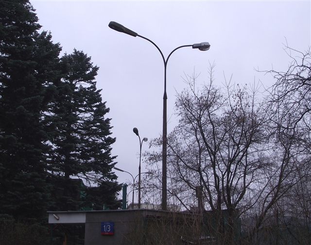 DSCF5855