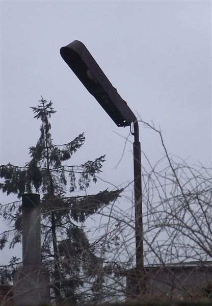 DSCF6392