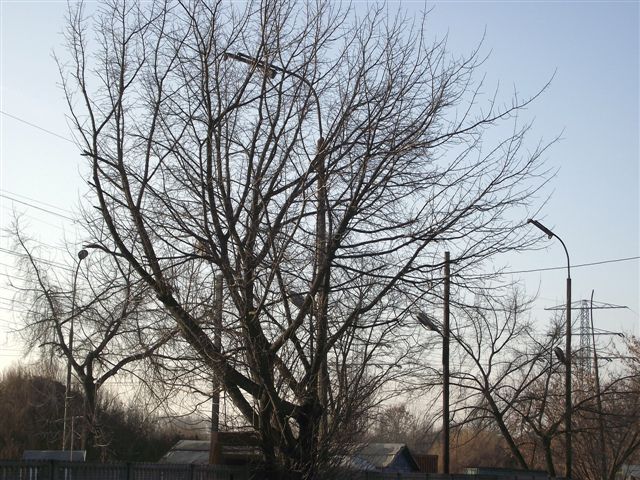 DSCF6035