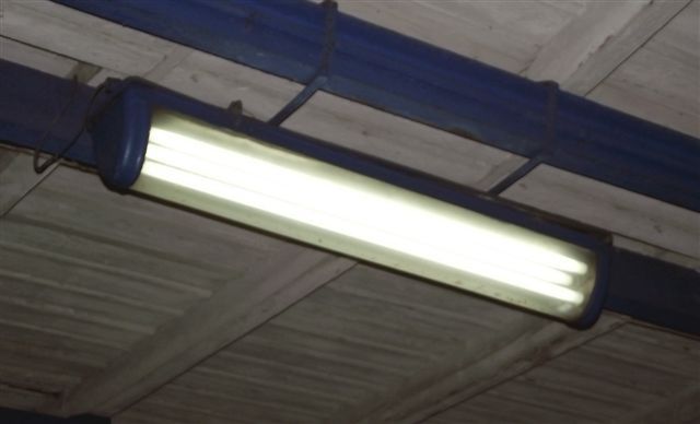 DSCF6540
