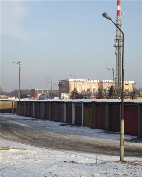 DSCF6566