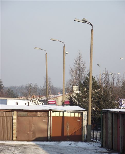 DSCF6565