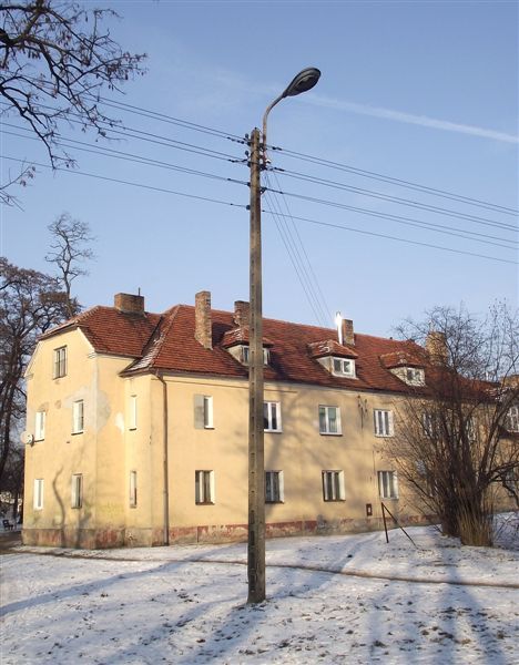 DSCF6553