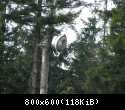 Kopia IMG 3958