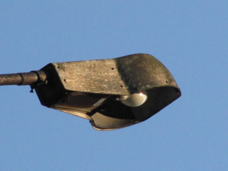 Kopia IMG 4098
