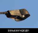 Kopia IMG 4098