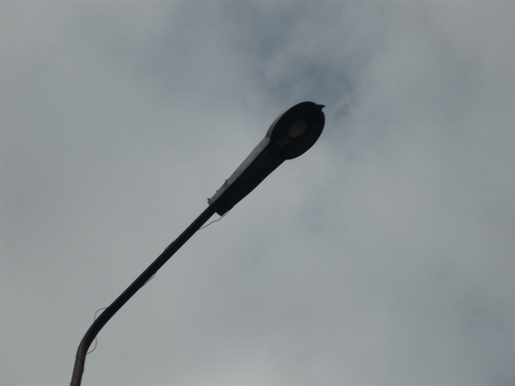 P1010699