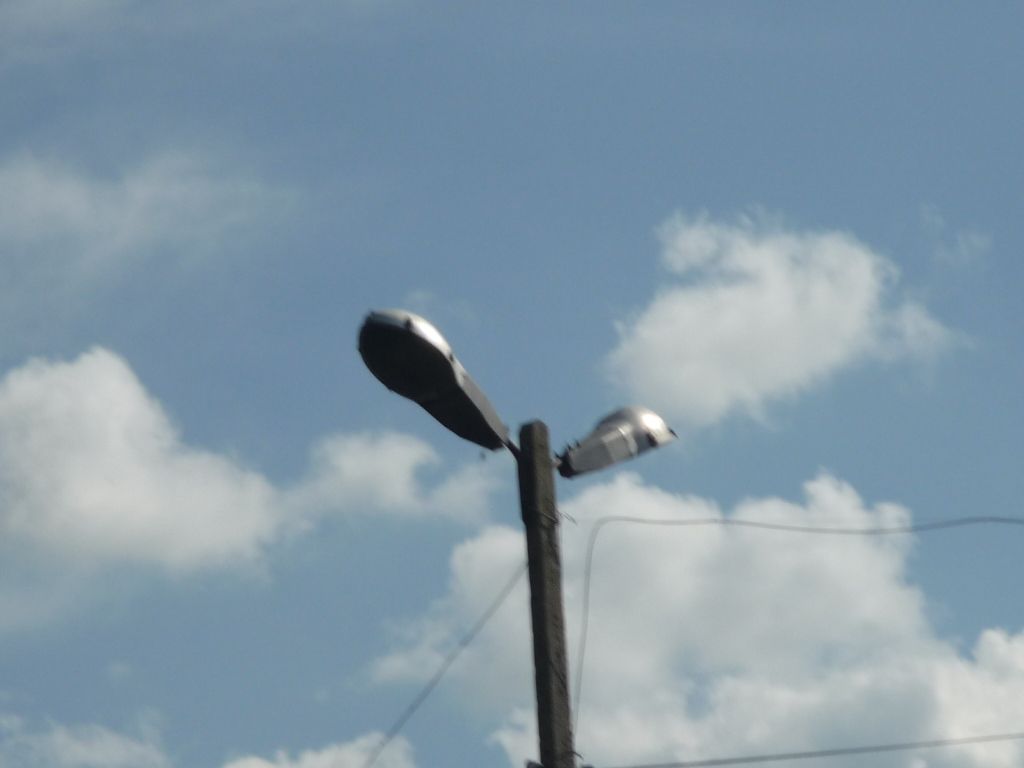 P1010752