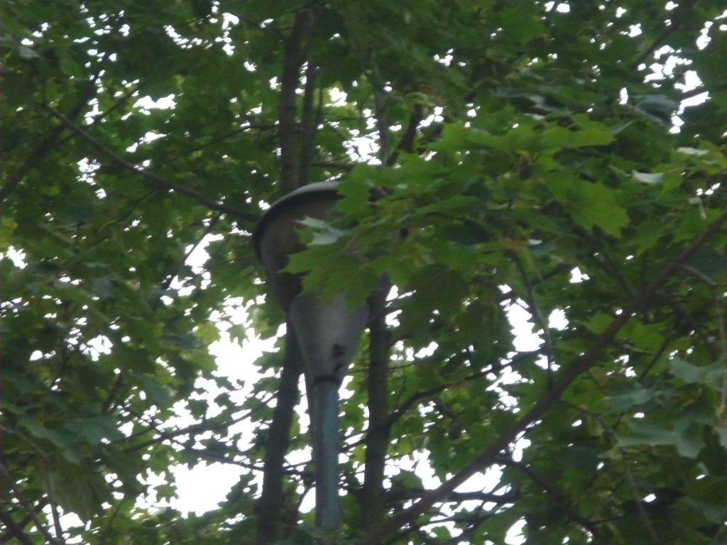 P1010880