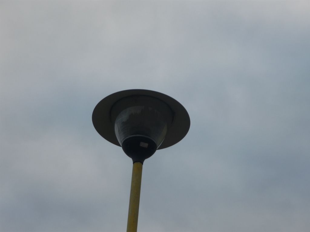 P1010881