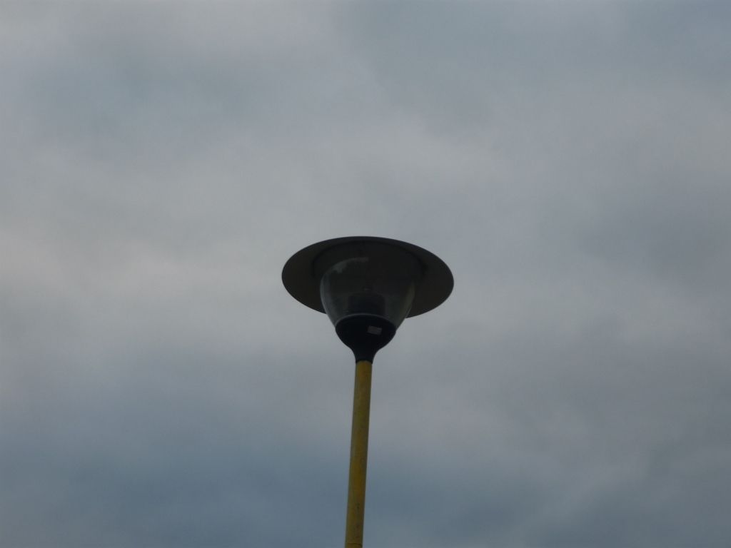 P1010882