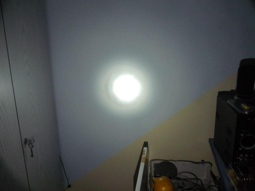 P1010951