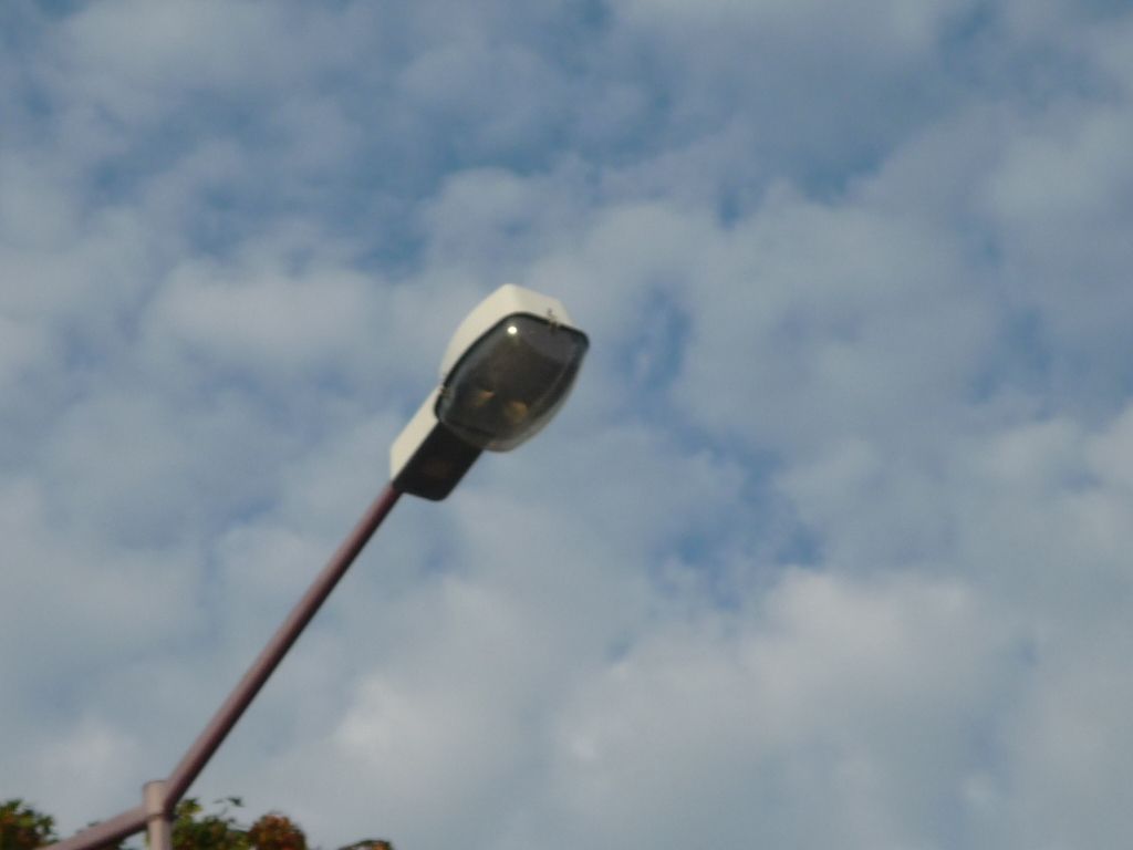 P1010993