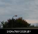 P1020012