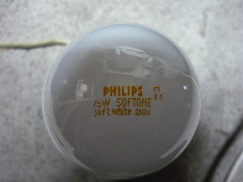 P1020048