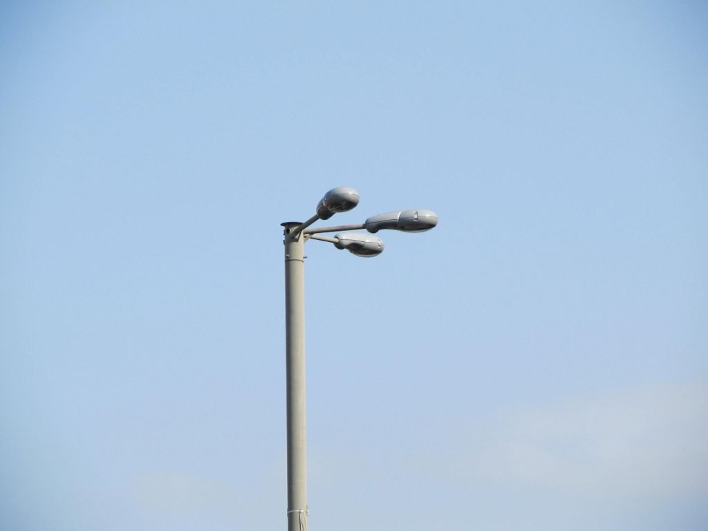 IMG 7823